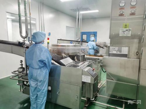 金銀花開(kāi)致富路，科技賦能新篇章——探訪南陽(yáng)金銀花種植基地與河南中醫(yī)藥文化魅力